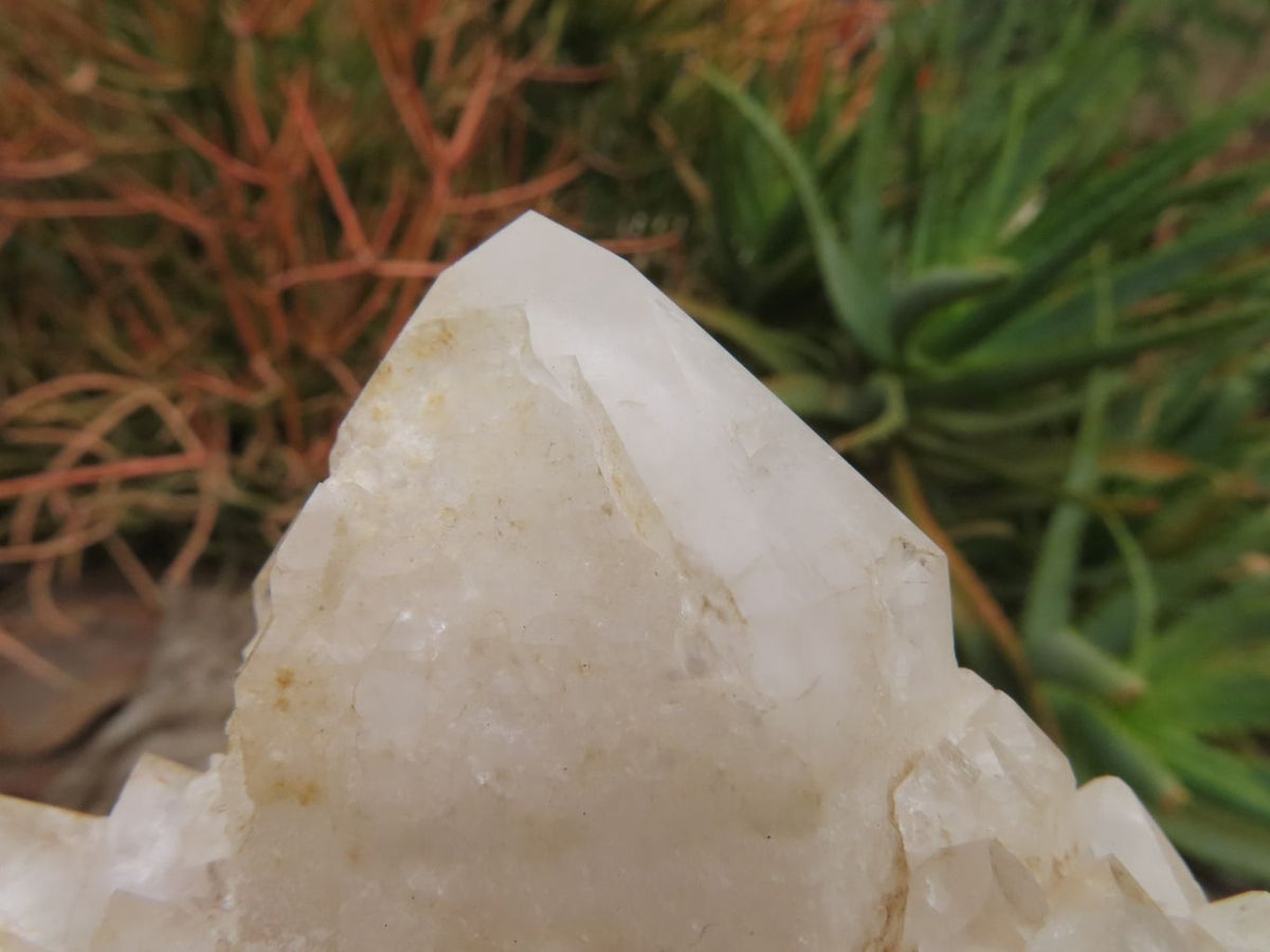 Natural Groovy Extra Large Kitana Cascading Crystal Cluster x 1 From Ambatfinhandrana, Madagascar - TopRock