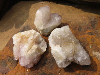 Natural Small Mixed Spirit Quartz Specimens  x 36 From Boekenhouthoek, South Africa - Toprock Gemstones and Minerals