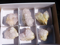Natural White Cactus Flower Spirit Quartz Specimens x 6 From Boekenhouthoek, South Africa - Toprock Gemstones and Minerals