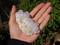 Natural White Cactus Flower Spirit Quartz Specimens x 6 From Boekenhouthoek, South Africa - Toprock Gemstones and Minerals