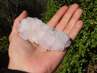 Natural White Cactus Flower Spirit Quartz Specimens x 6 From Boekenhouthoek, South Africa - Toprock Gemstones and Minerals