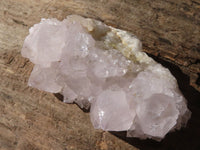 Natural White Cactus Flower Spirit Quartz Specimens x 6 From Boekenhouthoek, South Africa - Toprock Gemstones and Minerals