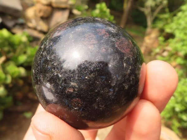 Polished Rare Iolite / Water Sapphire Spheres  x 12 From Madagascar - Toprock Gemstones and Minerals 