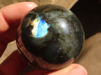 Polished Small Labradorite Spheres  x 6 From Tulear, Madagascar - Toprock Gemstones and Minerals