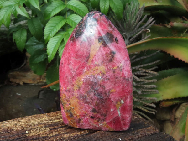 Polished Rhodonite Standing Free Forms x 2 From Zimbabwe - TopRock