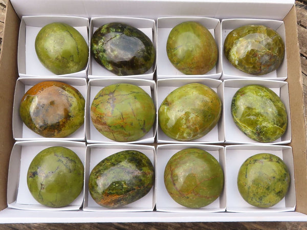 Polished Extra Large Green Opal Palm Stones  x 12 From Madagascar - Toprock Gemstones and Minerals 