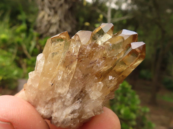 Natural White Phantom Smokey Quartz Clusters  x 24 From Congo - Toprock Gemstones and Minerals 