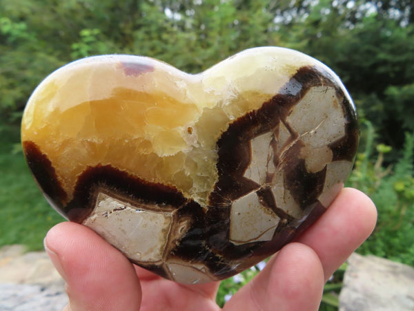 Polished Septerye (Calcite & Aragonite) Hearts x 6 From Madagascar - TopRock