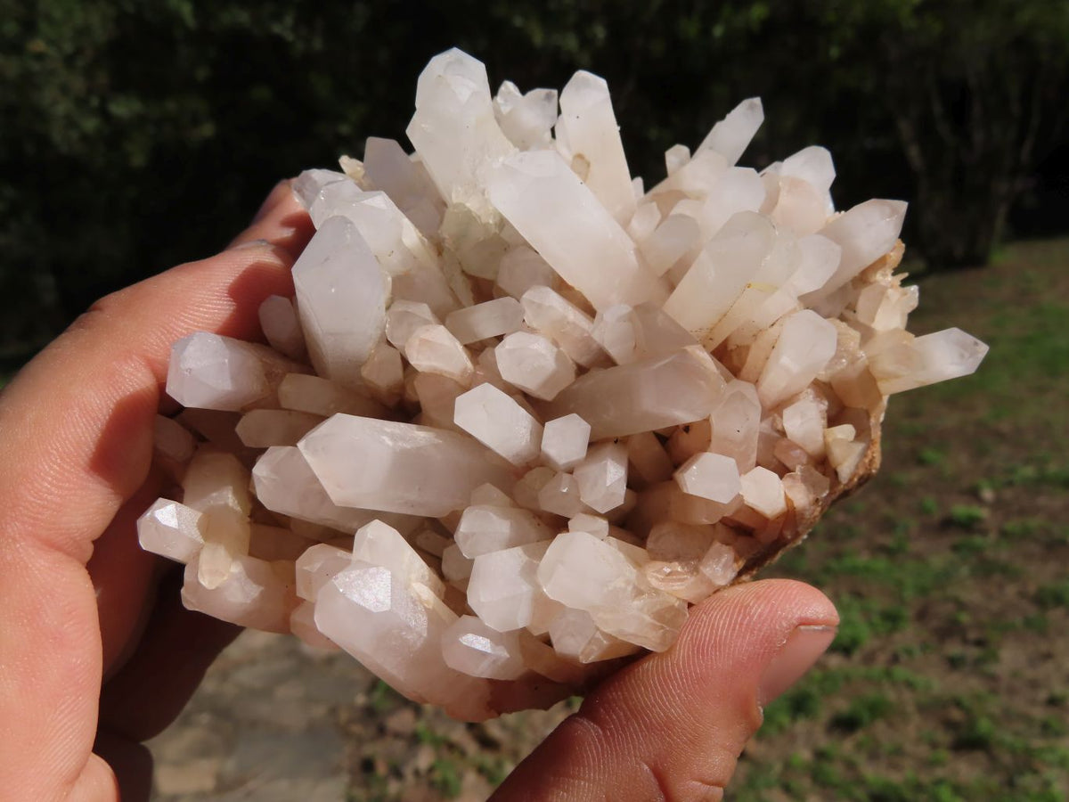 Natural Selected Optic to Frosted Quartz Clusters/Crystals x 11 From Madagascar - TopRock