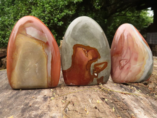 Polished Polychrome / Picasso Jasper Standing Free Forms  x 6 From Madagascar - TopRock