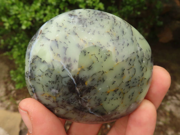 Polished Extra Large Dendritic Opal Palm Stones  x 6 From Madagascar - Toprock Gemstones and Minerals 