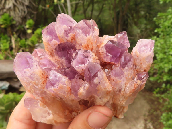 Natural Sugar Amethyst Clusters  x 6 From Zambia - Toprock Gemstones and Minerals 