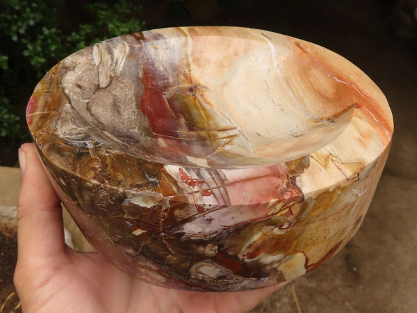 Polished Large Petrified Wood Bowl  x 1 From Madagascar - TopRock