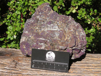 Natural Extra Large Purpurite Specimen x 1 From Erongo, Namibia - TopRock