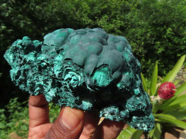 Natural Botryoidal Crystalline Malachite  x 4 From Kasompe, Congo - TopRock