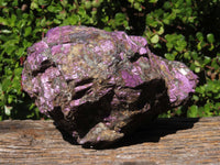 Natural Extra Large Purpurite Specimen x 1 From Erongo, Namibia - TopRock