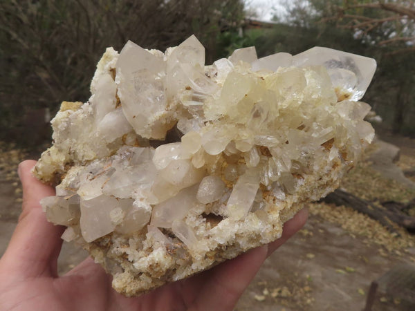 Natural Stunning Quartz Cluster With Clear Intact Crystals  x 1 From Mandrosonoro, Madagascar - TopRock