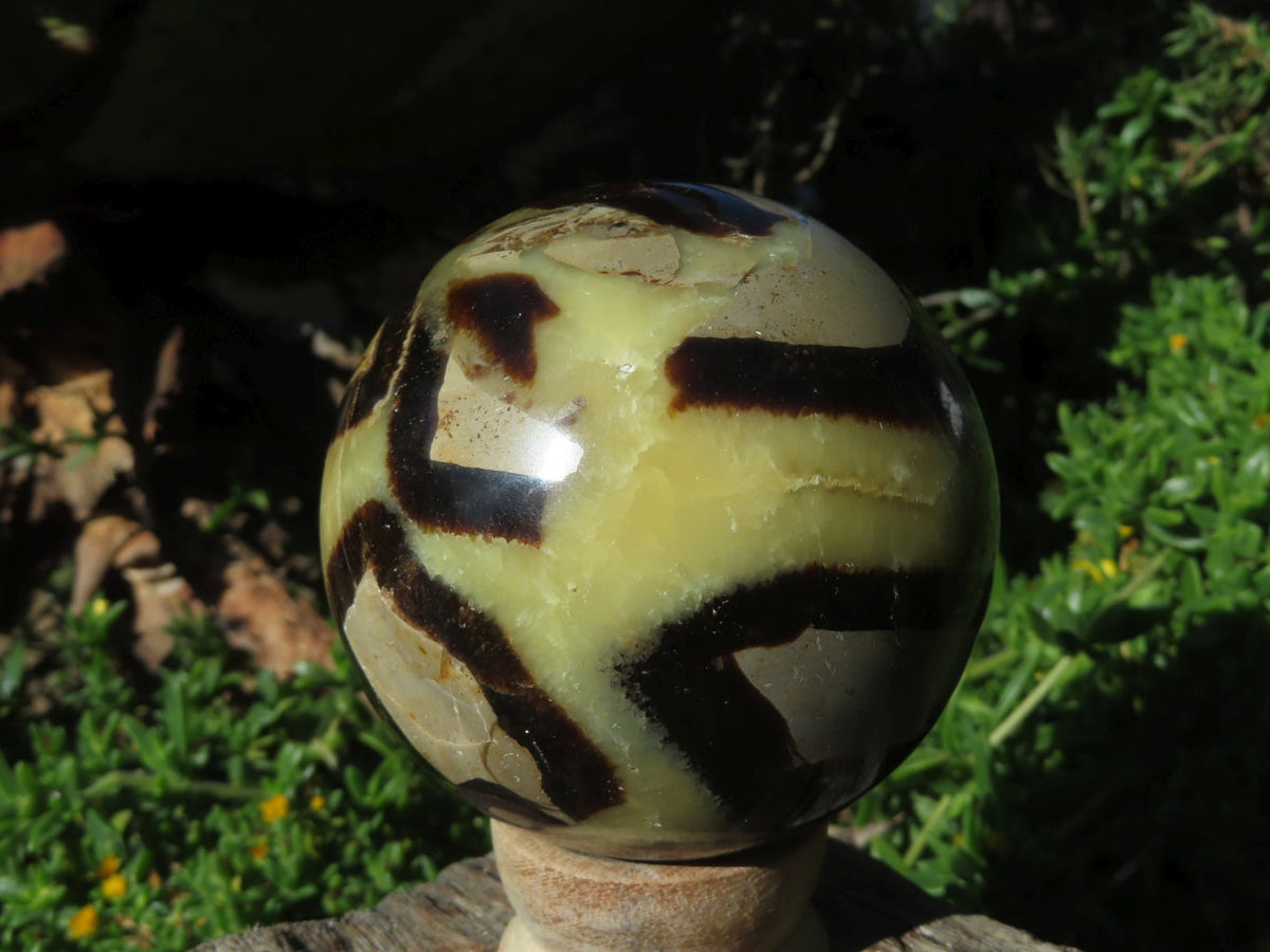 Polished Septerye Spheres x 3 From Madagascar - TopRock