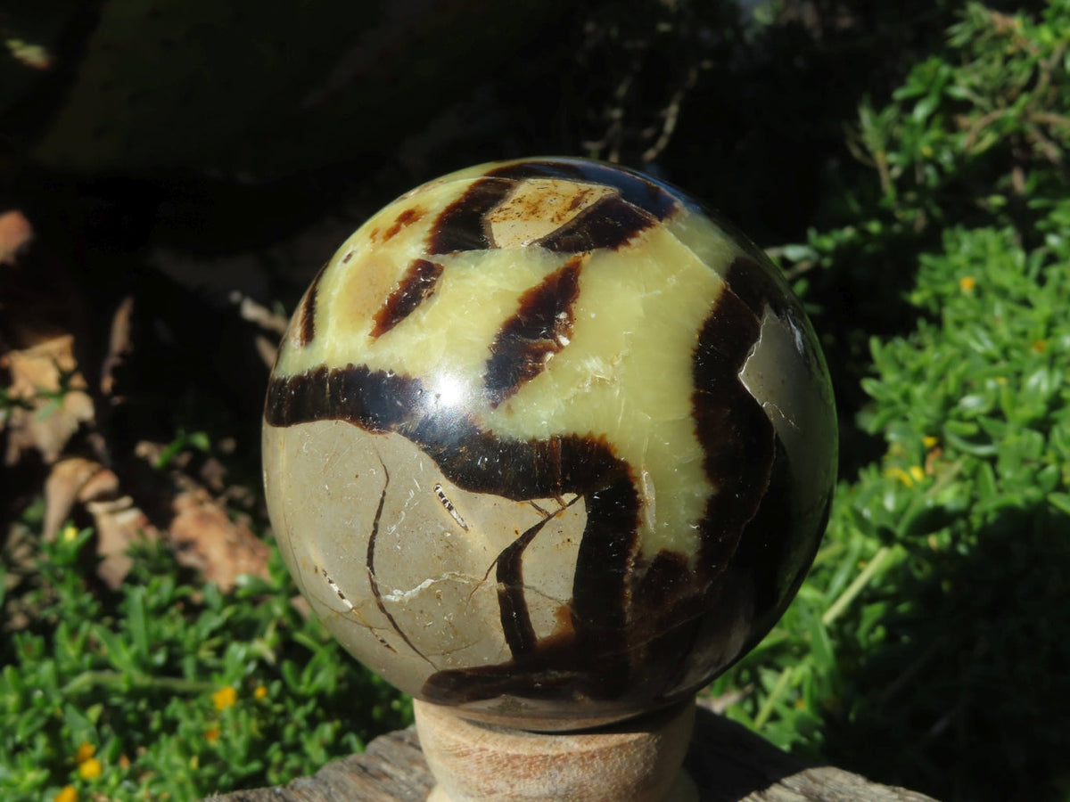 Polished Septerye Spheres x 3 From Madagascar - TopRock