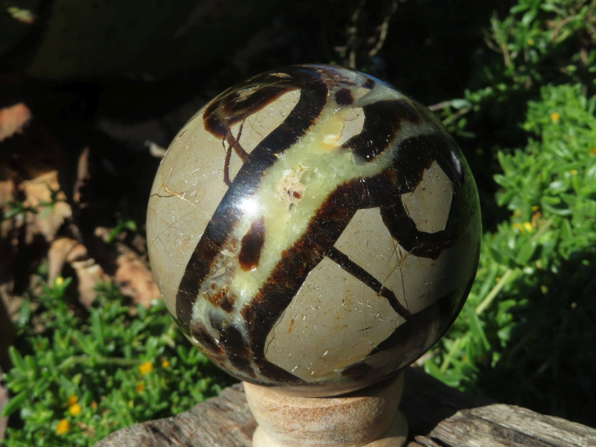 Polished Septerye Spheres x 3 From Madagascar - TopRock
