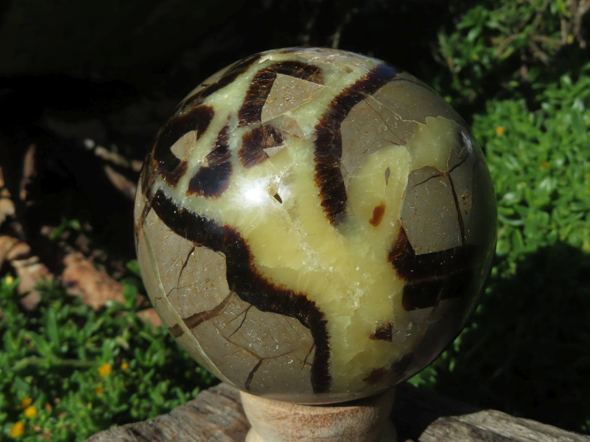 Polished Septerye Spheres x 3 From Madagascar - TopRock