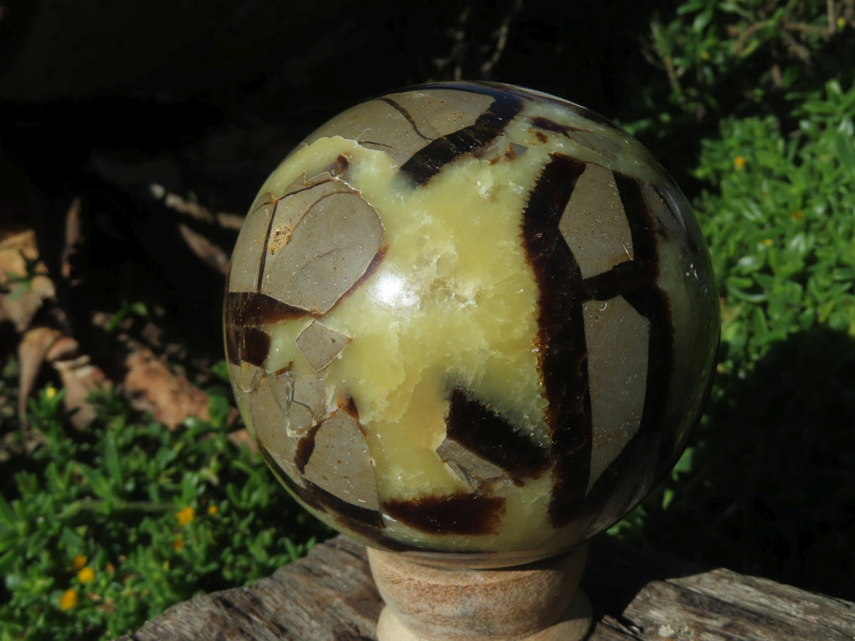 Polished Septerye Spheres x 3 From Madagascar - TopRock