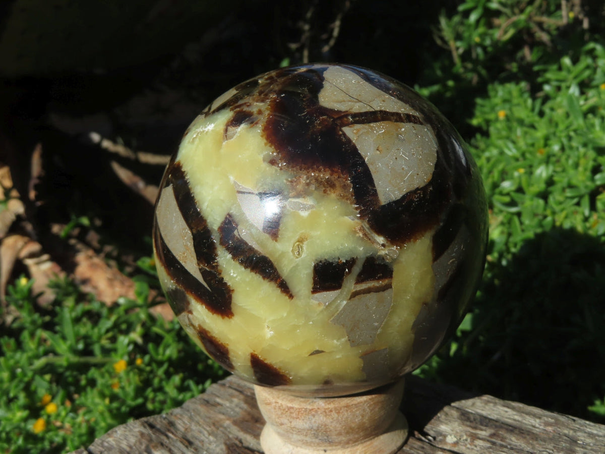 Polished Septerye Spheres x 3 From Madagascar - TopRock