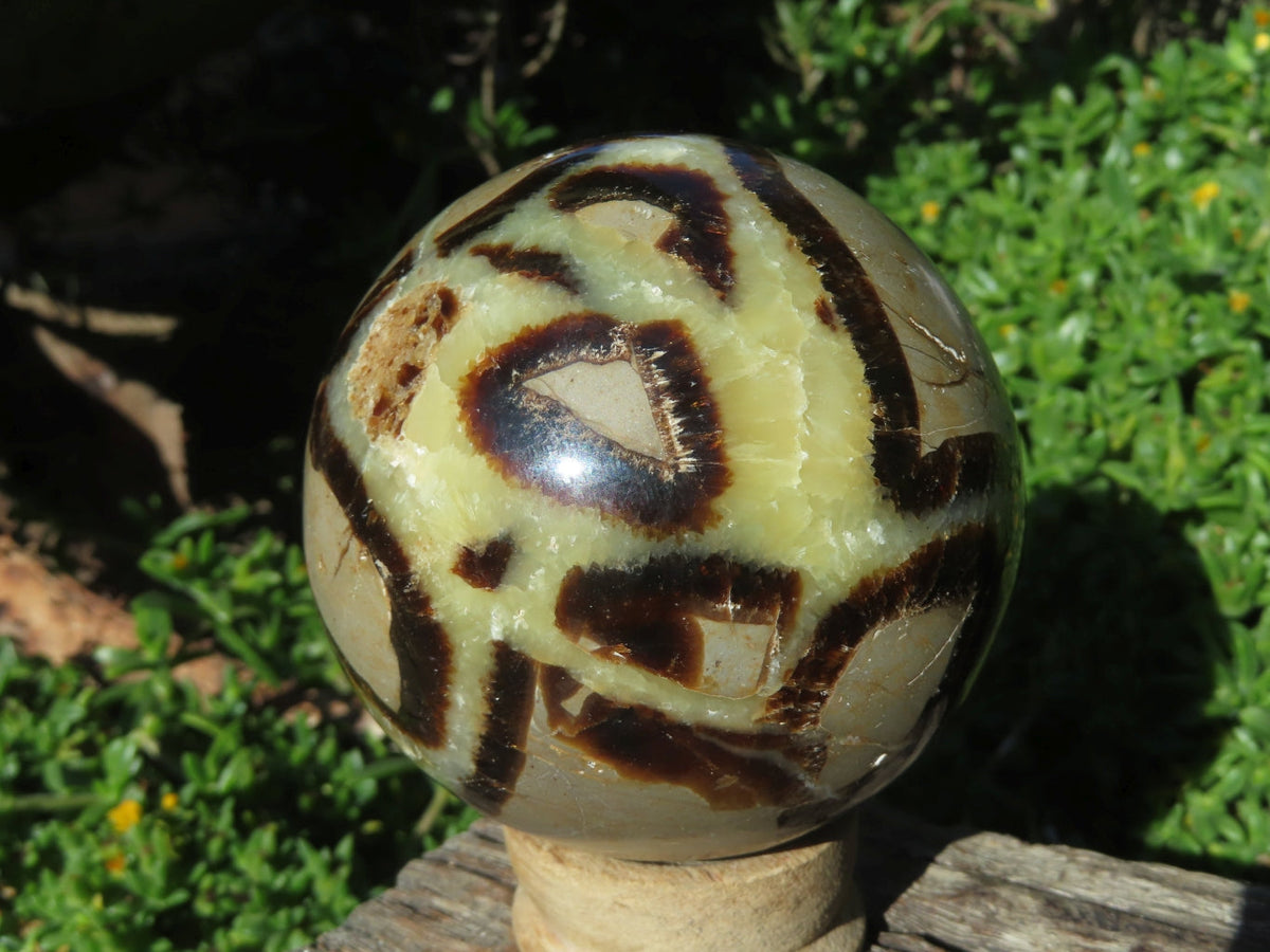 Polished Septerye Spheres x 3 From Madagascar - TopRock