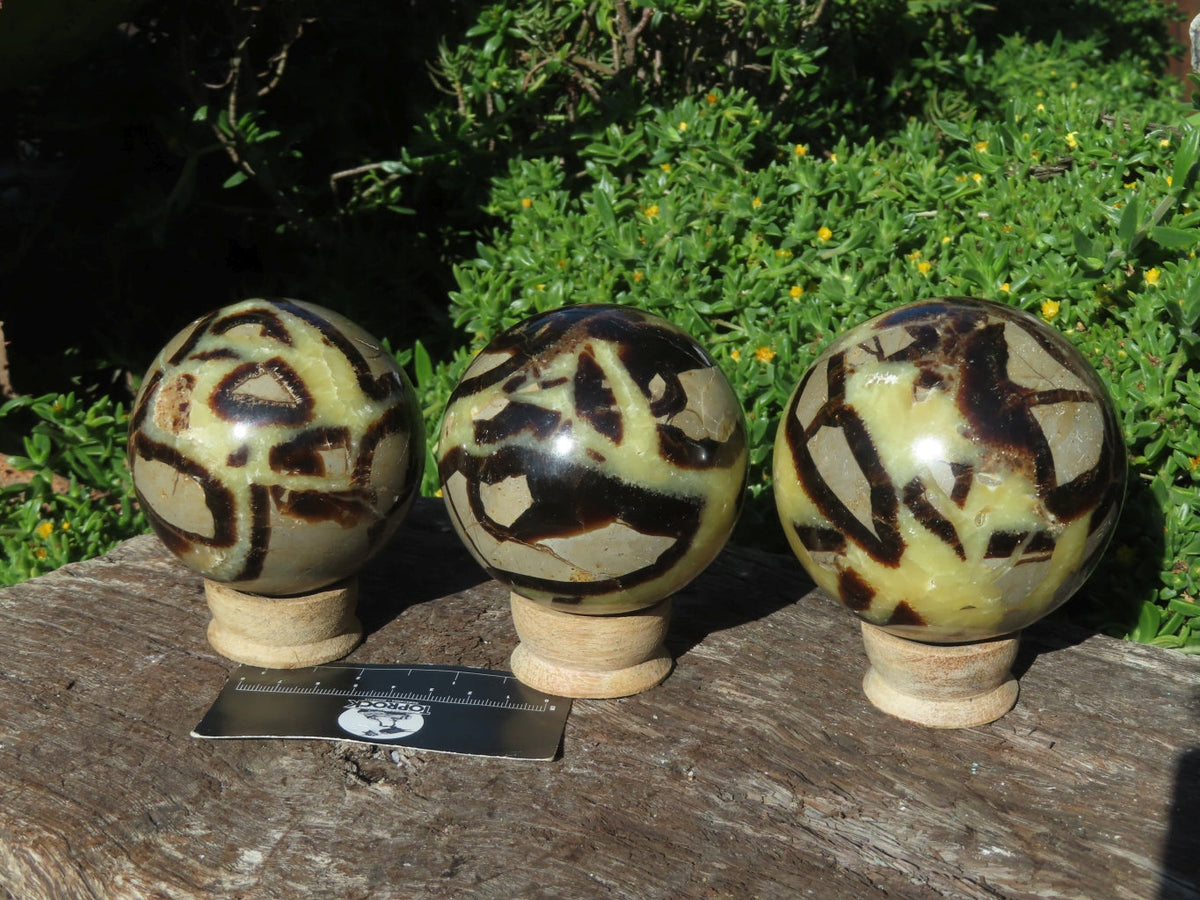Polished Septerye Spheres x 3 From Madagascar - TopRock