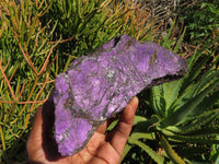 Natural Rough Purpurite Specimens x 2 From Namibia - TopRock