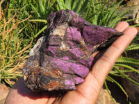 Natural Rough Purpurite Specimens x 2 From Namibia - TopRock