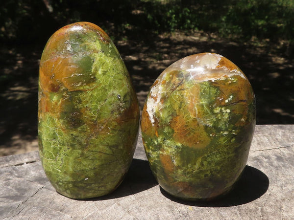 Polished Green Opal Standing Free Forms  x 6 From Madagascar - TopRock
