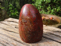 Polished Red Jasper Standing Free Forms  x 2 From Madagascar - Toprock Gemstones and Minerals