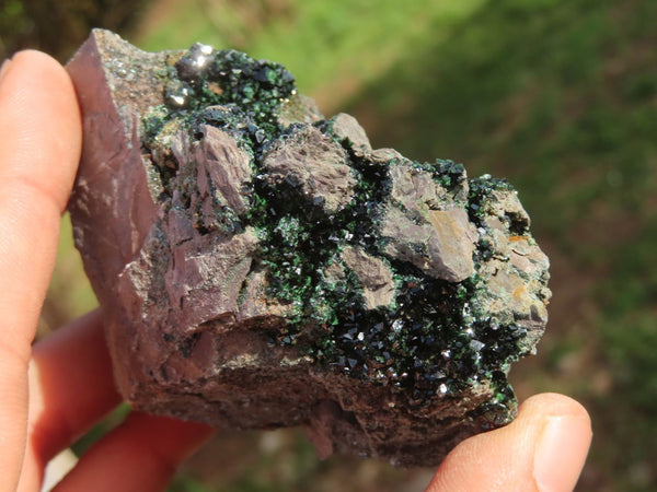 Natural Rare Copper Phosphate Libethenite On Dolomite Clusters x 5 From Shituru, Congo - TopRock