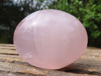Polished Gemmy Pink Rose Quartz Palm Stones  x 12 From Madagascar - Toprock Gemstones and Minerals