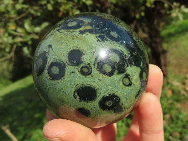 Polished Stromatolite / Kambaba Jasper Spheres x 3 From Madagascar - TopRock