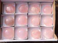 Polished Gemmy Pink Rose Quartz Palm Stones  x 12 From Madagascar - Toprock Gemstones and Minerals