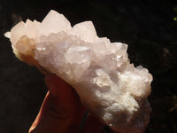 Natural White Spirit Quartz Clusters  x 2 From Boekenhouthoek, South Africa - Toprock Gemstones and Minerals