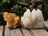 Natural Small Mixed Spirit Quartz Specimens  x 46 From Boekenhouthoek, South Africa - Toprock Gemstones and Minerals