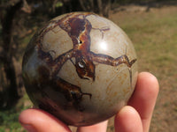 Polished Septerye (Calcite & Aragonite) Spheres  x 4 From Mahajanga, Madagascar - TopRock