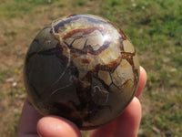 Polished Septerye (Calcite & Aragonite) Spheres  x 4 From Mahajanga, Madagascar - TopRock