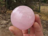 Polished Pink Rose Quartz Spheres  x 6 From Ambatondrazaka, Madagascar - TopRock