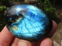 Polished Flashy Labradorite Palm Stones  x 12 From Tulear, Madagascar - Toprock Gemstones and Minerals