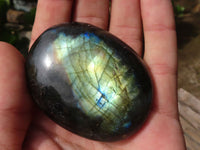Polished Flashy Labradorite Palm Stones  x 12 From Tulear, Madagascar - Toprock Gemstones and Minerals