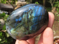 Polished Flashy Labradorite Palm Stones  x 12 From Tulear, Madagascar - Toprock Gemstones and Minerals
