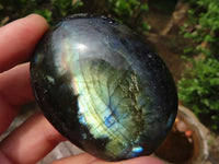 Polished Flashy Labradorite Palm Stones  x 12 From Tulear, Madagascar - Toprock Gemstones and Minerals