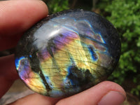 Polished Flashy Labradorite Palm Stones  x 12 From Tulear, Madagascar - Toprock Gemstones and Minerals