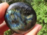 Polished Flashy Labradorite Palm Stones  x 12 From Tulear, Madagascar - Toprock Gemstones and Minerals