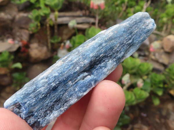 Natural Single Blue Kyanite Crystals  x 39 From Karoi, Zimbabwe