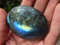 Polished Flashy Labradorite Palm Stones  x 12 From Tulear, Madagascar - Toprock Gemstones and Minerals
